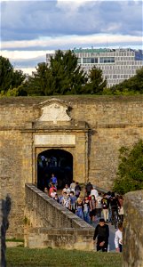 IMG_0615
