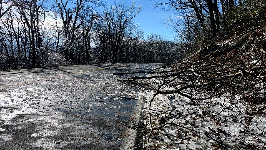 Winter Storm Cleanup photo