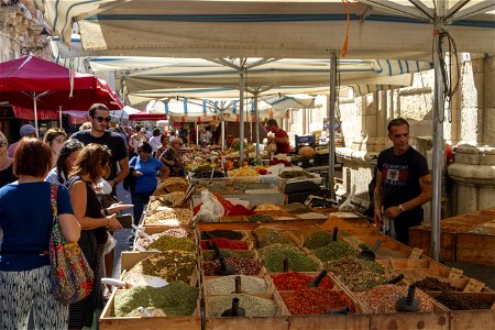 IMG_3505