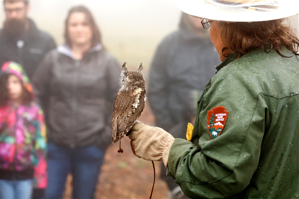 Screech Owl Education Program