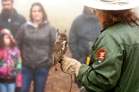 Screech Owl Education Program photo