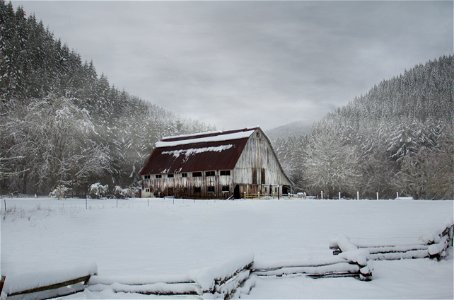 White barn in the snow, Coastal Range, Oregon photo