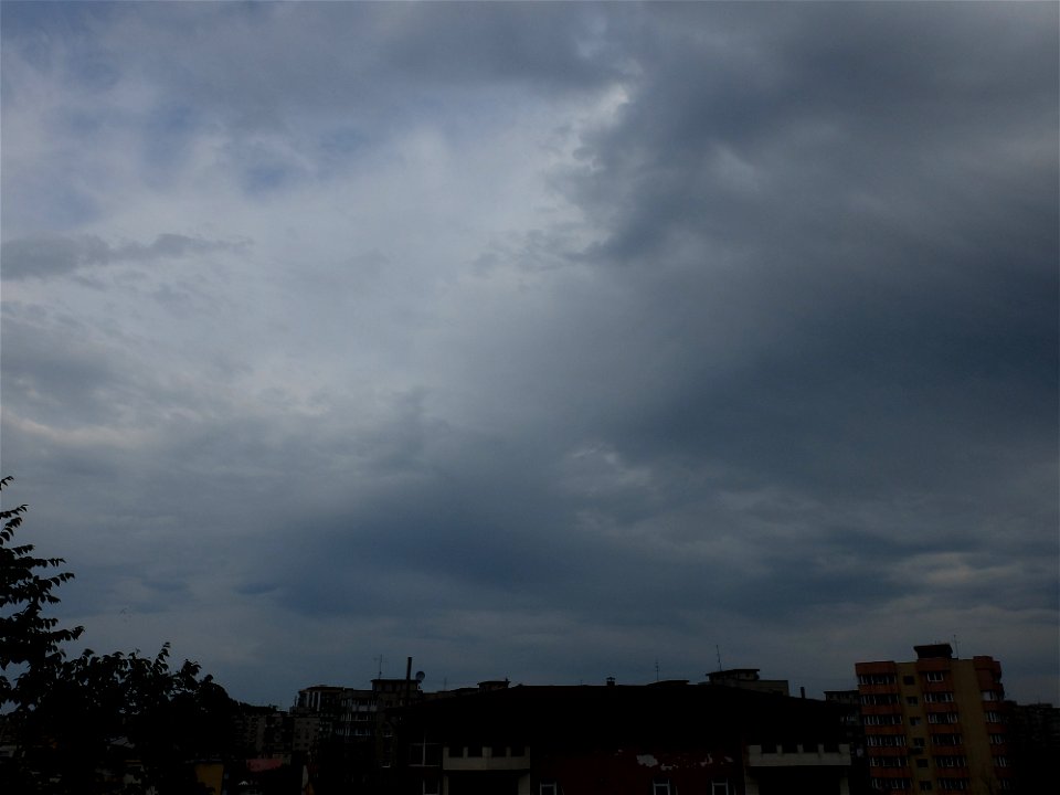 nori-Vitan2015_0520_172719(1)