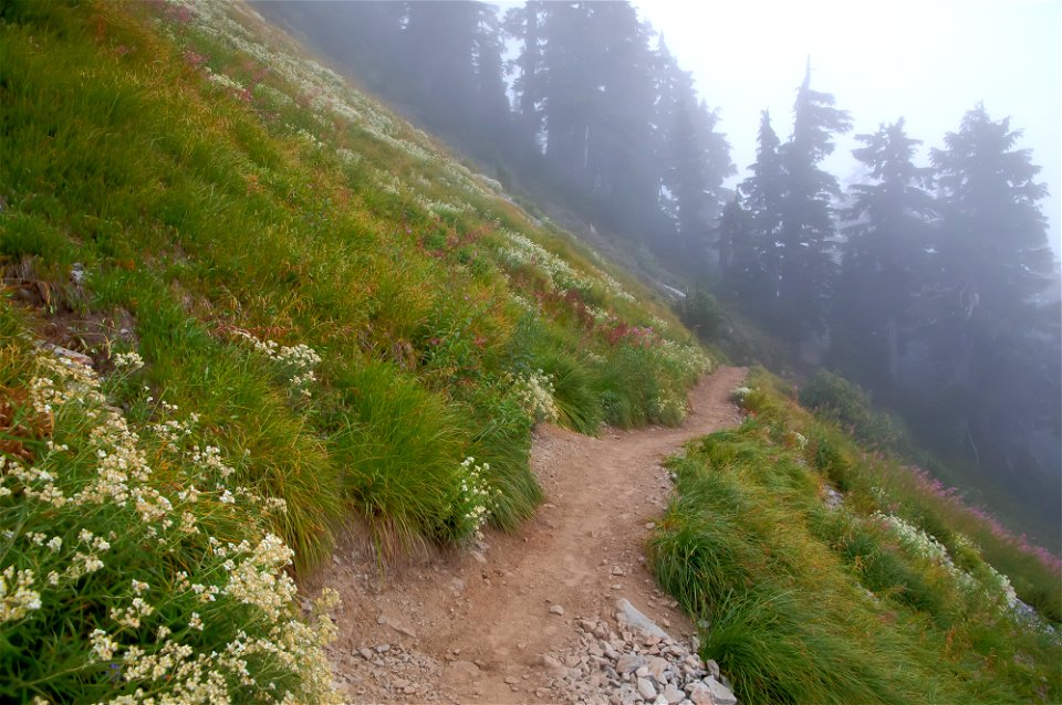 WTA-Chain of Lakes Tr-Heather Meadows-Mount Baker-28