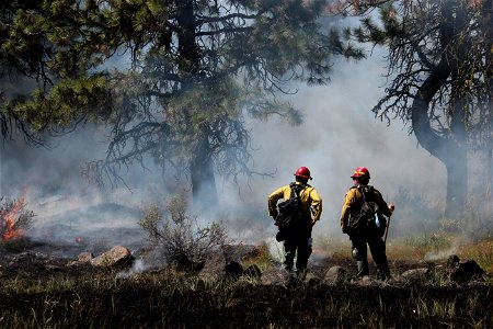 Firefighters at prescribed burn on Barlow Ranger District, Mt. Hood National Forest