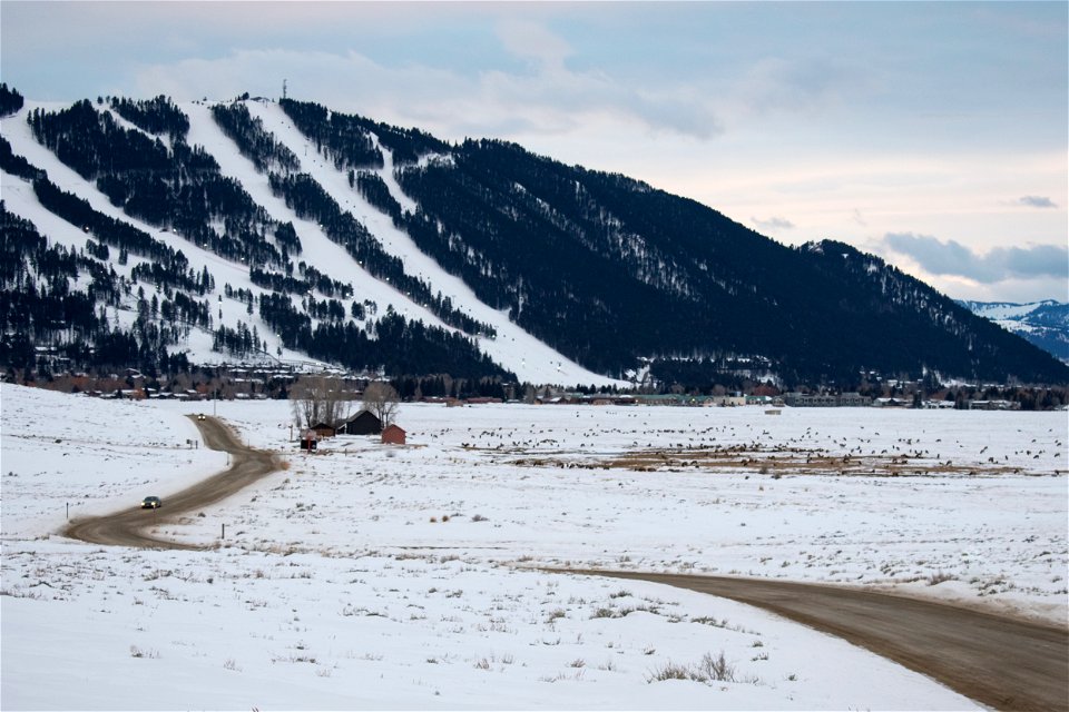 Refuge Road on the National Elk Refuge