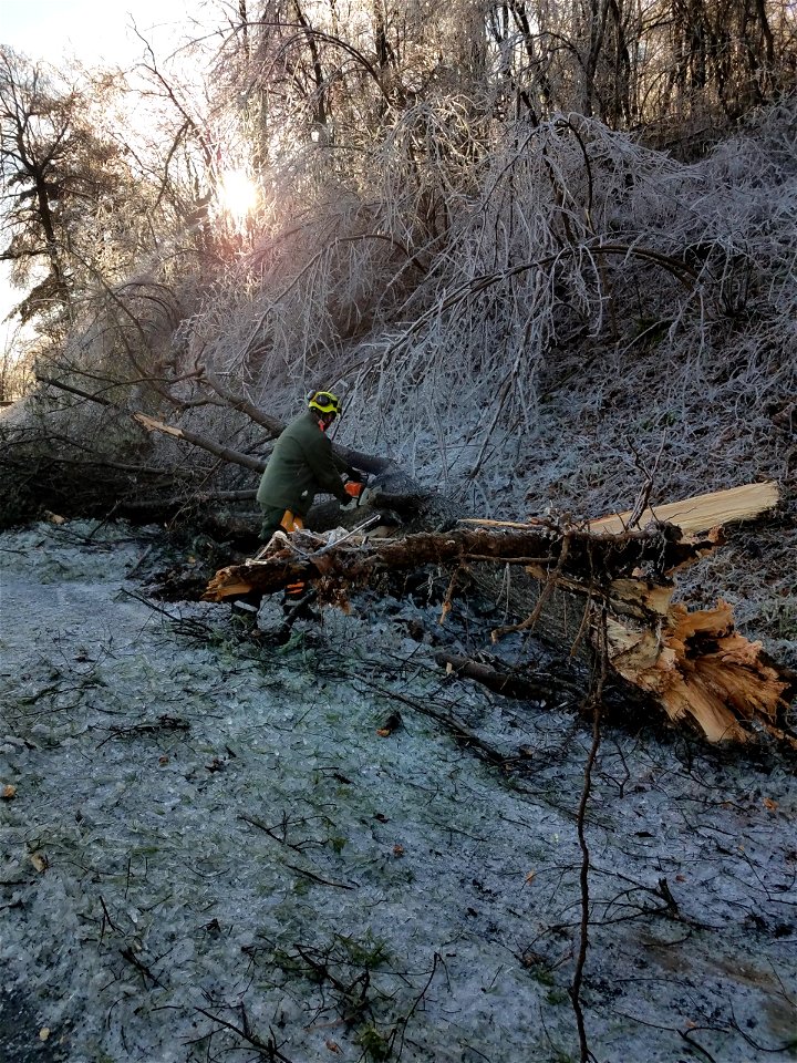 Ice Storm 202