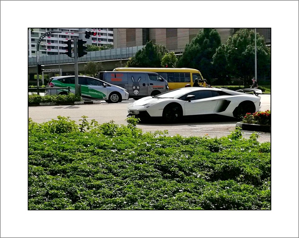 White beauty on the road