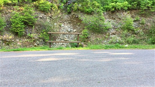 Visitor Looking at Trailhead Sign