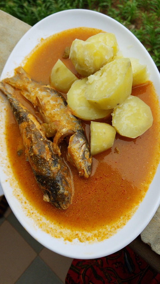 Food potatoes delicious