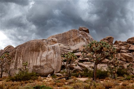 Cap Rock Weeps in Rain photo
