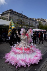 carnaval  de Lausanne