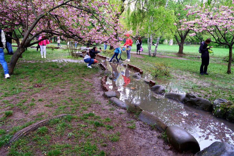 japanes_garden_rain_Herastrau (103)