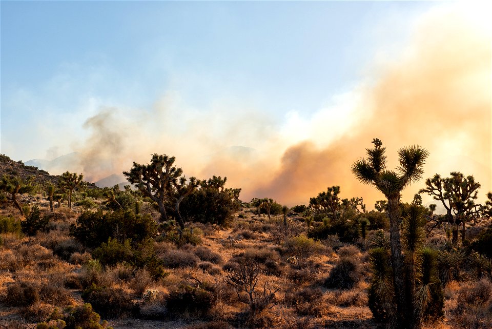 Smoke from the Elk Fire