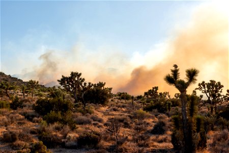 Smoke from the Elk Fire