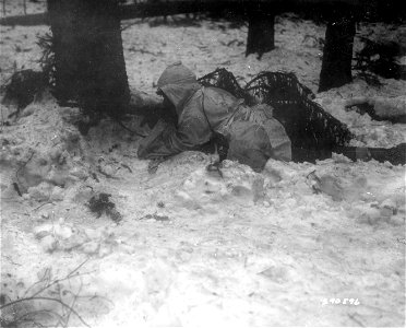SC 270596 - A member of the 23rd Regiment, 2nd Infantry Division, U.S. First Army, hits the ground at the sound of enemy small arms fire near Krinkelt, Belgium. 1 February, 1945.