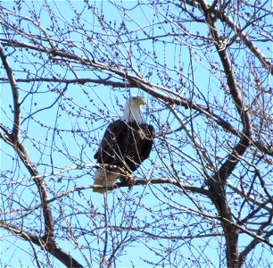 Spring is in the air! photo