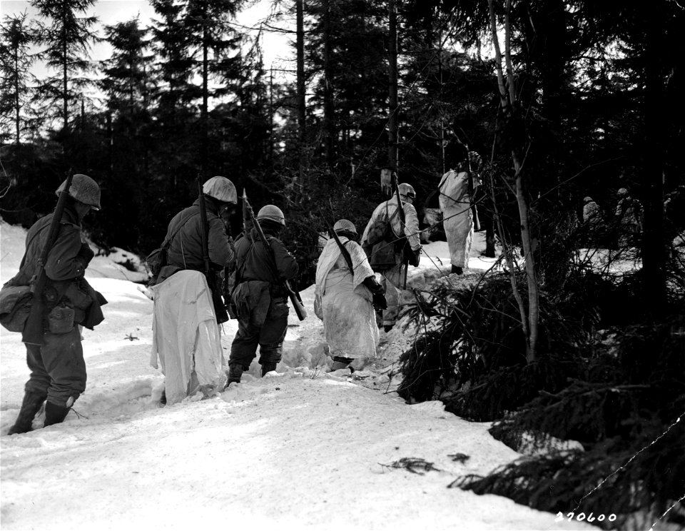 SC 270601  - Riflemen of Co. A, 23rd Infantry Regiment, 2nd Infantry Division, move through Monschau Forest, Germany, to wipe out remaining pockets of enemy soldiers left behind.