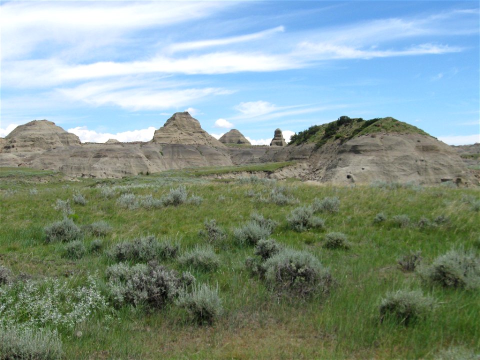 Sand Arroyo