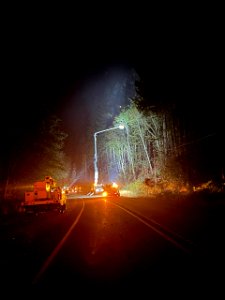 Night Shift Tree Work, Bolt Creek Fire, Washington photo