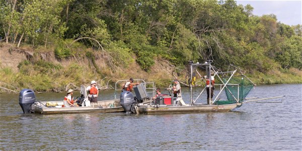 Invasive Carp Research on the James River in South Dakota. Photo: Sam Stukel (USFWS)
