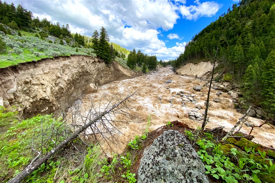 Yellowstone flood event 2022: Lamar River Canyon at high water