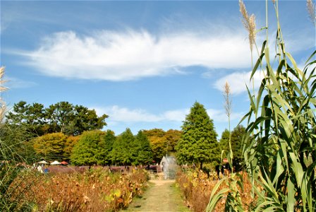 Cheongsan Arboretum photo