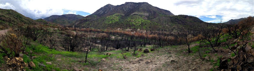 Homestead recreation site
