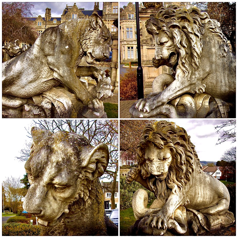 Preston Hall Lions