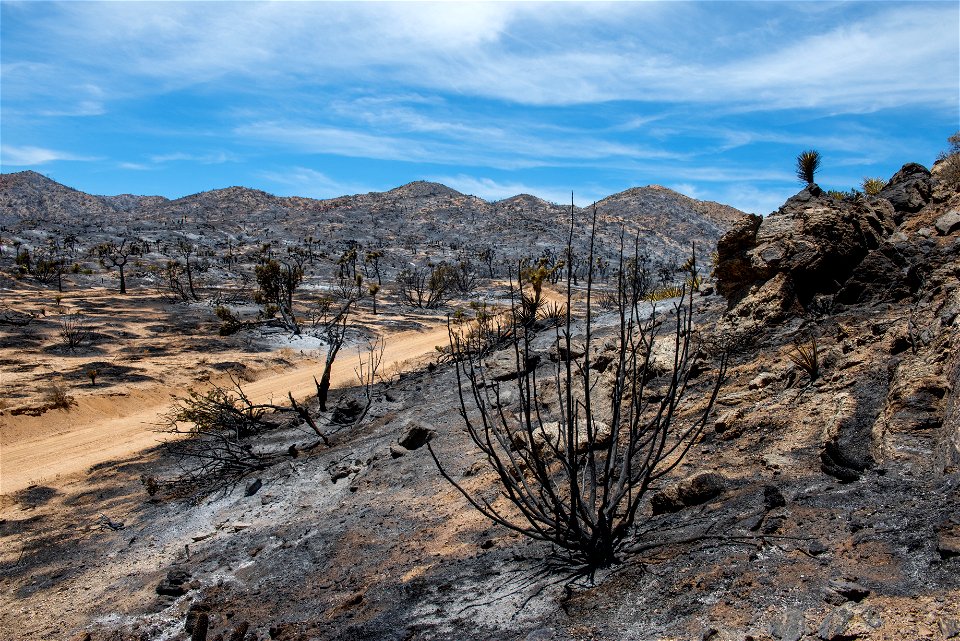 Elk Fire Burned Area