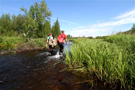 Anchorage Field Office Fisheries Crew at Work photo