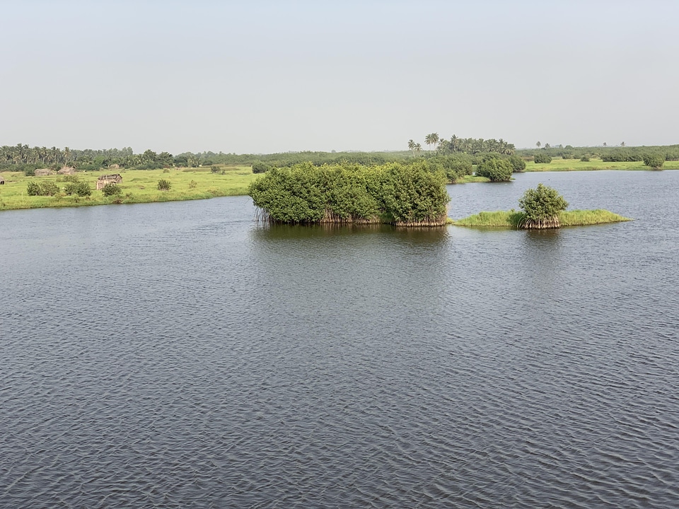 Landscape nature environment
