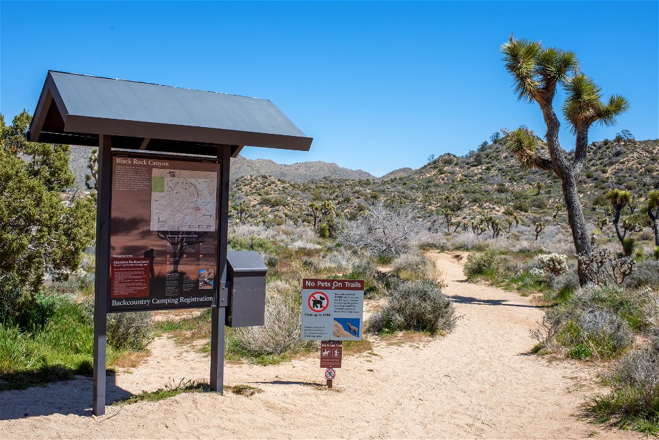 Black Rock Canyon Backcountry Trailhead