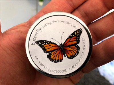 Butterfly Kit photo