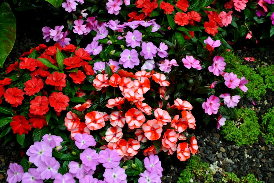 Suncheonman Bay National Garden Expo