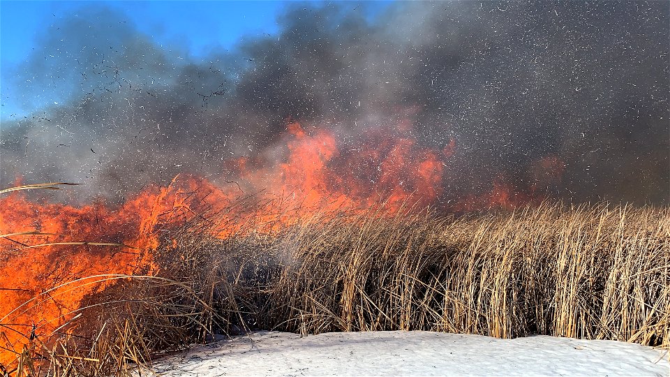 2021 USFWS Fire Employee Photo Contest Category: Fuels Management