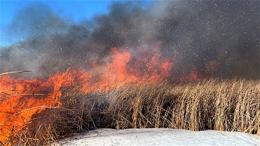 2021 USFWS Fire Employee Photo Contest Category: Fuels Management photo