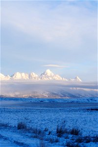 Morning View on the Refuge photo