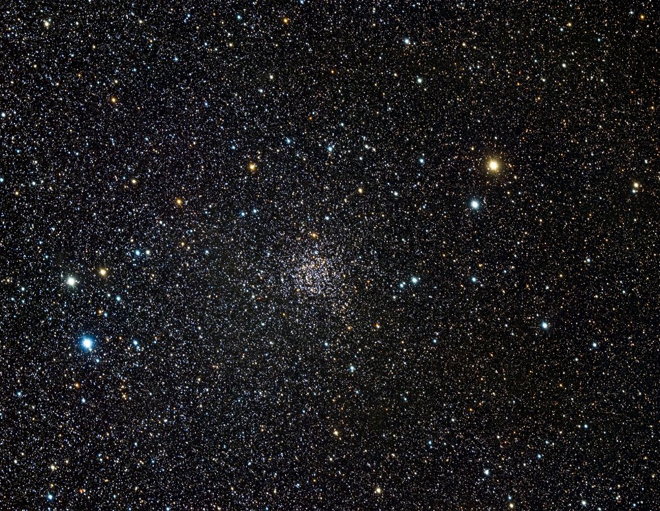 Caroline's Rose Cluster