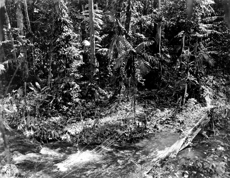 SC 334757 - A patrol of the 129th Infantry, 37th Division, crosses the Piva River on the way back to the front lines on Bougainville, Solomon Islands. 21 January, 1944.