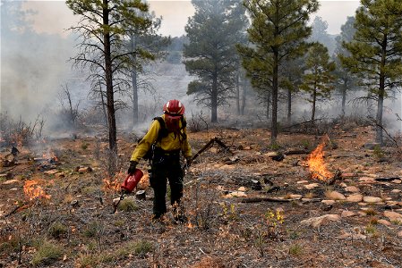 Ray Mesa Prescribed Burn Fall 2021 photo