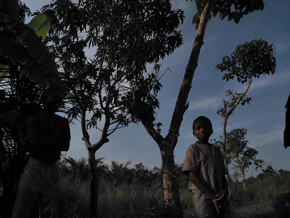 People trees landscape