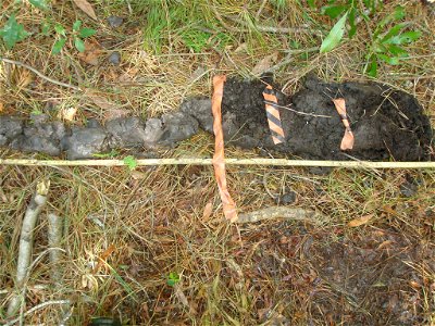 soil profile NWCA11-2042_09.19 photo