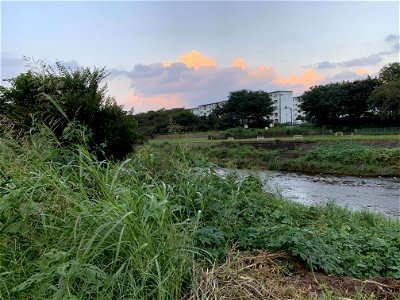 Yanase River in Hongo, Tokorozawa-shi