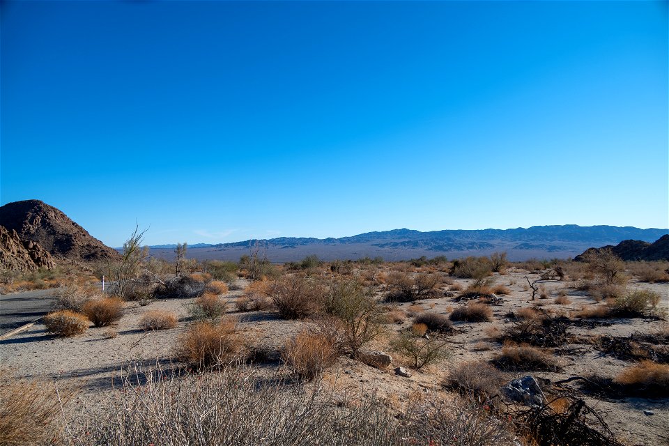 Joshua Tree National Park