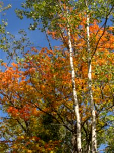 20210915-FS-Superior-SAR-002