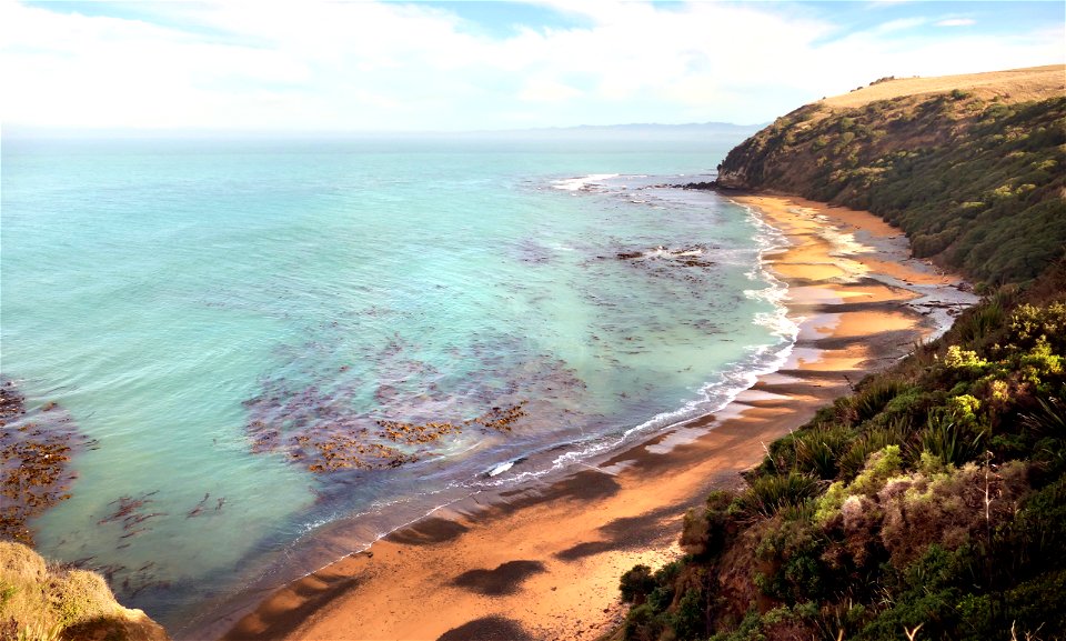 Otago coastline NZ