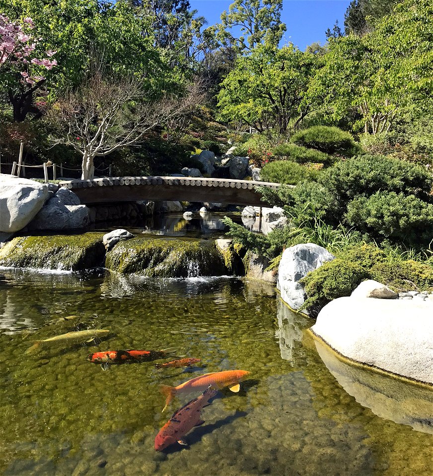 Japanese Friendship Garden