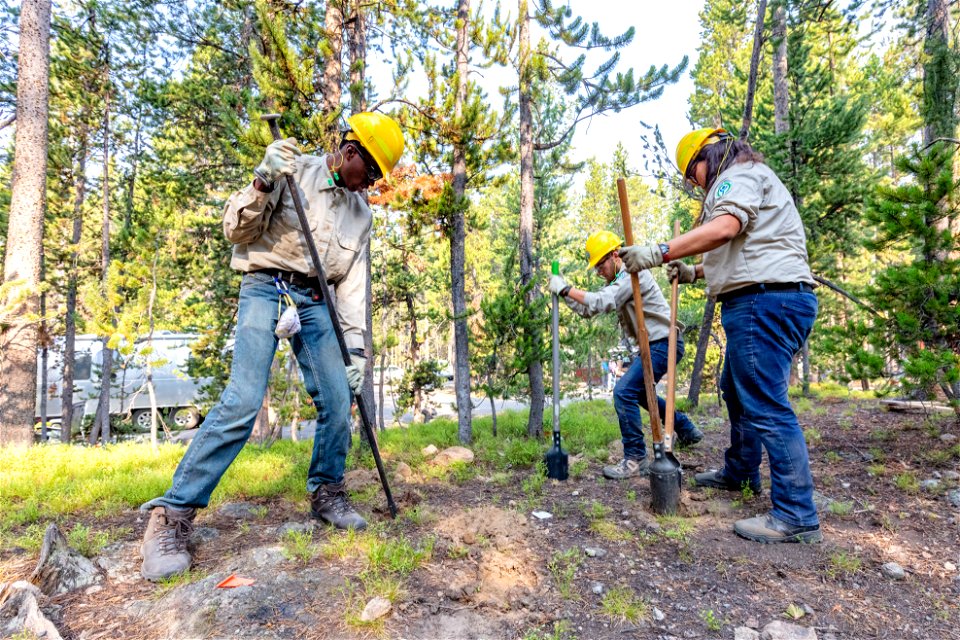 YCC Alpha Crew 2021 Canyon Campground bear box installation: digging holes for foundation