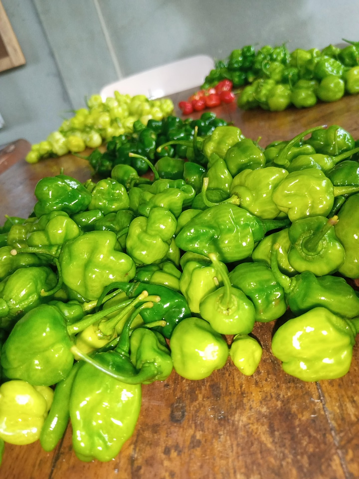 Nutrition bio pepper